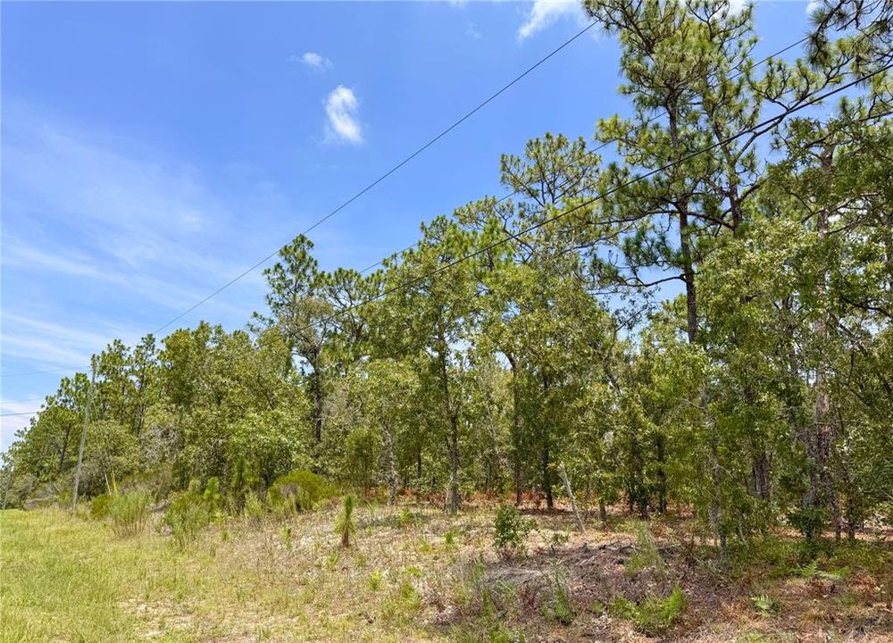 Vendido Recientemente: $75,000 (1.00 acres)