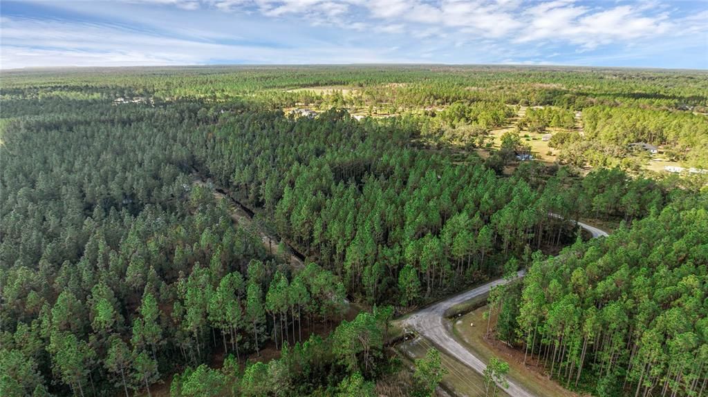 For Sale: $165,000 (5.89 acres)