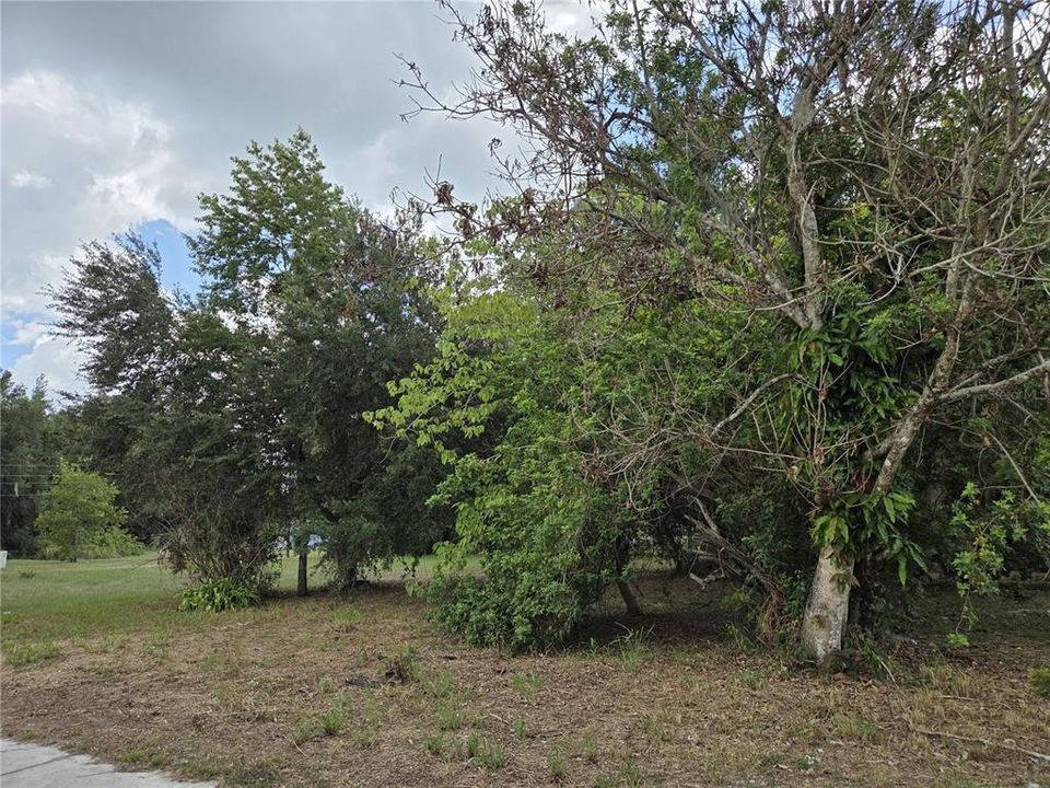 For Sale: $25,000 (0.22 acres)