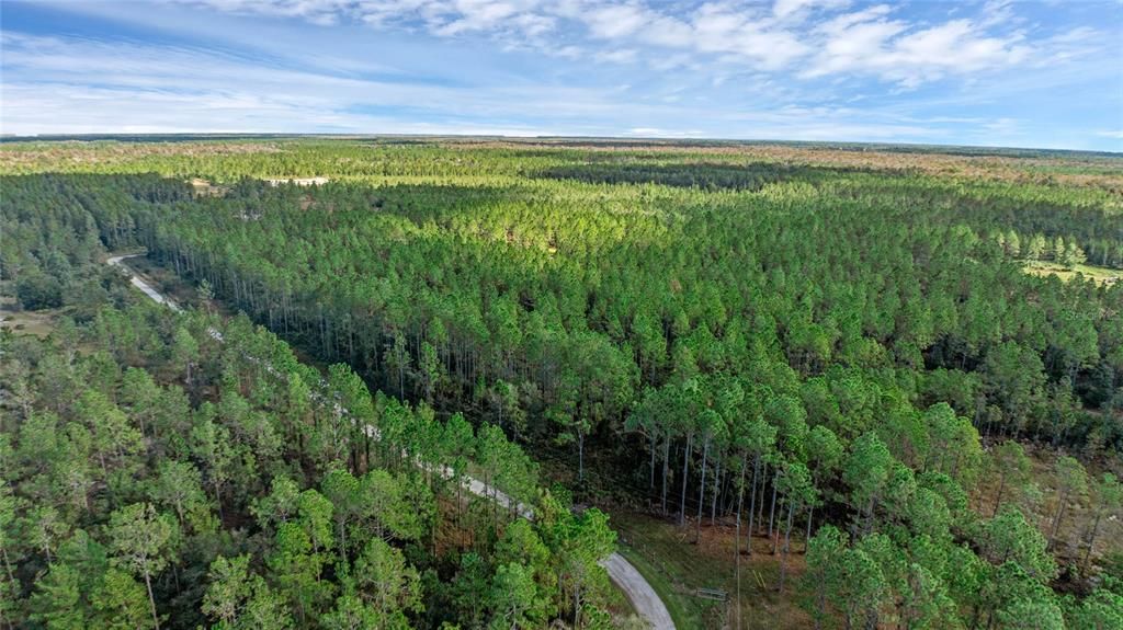 For Sale: $165,000 (5.89 acres)