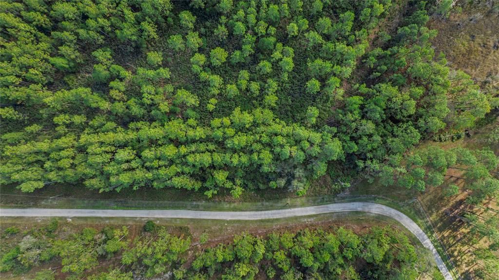 For Sale: $165,000 (5.89 acres)