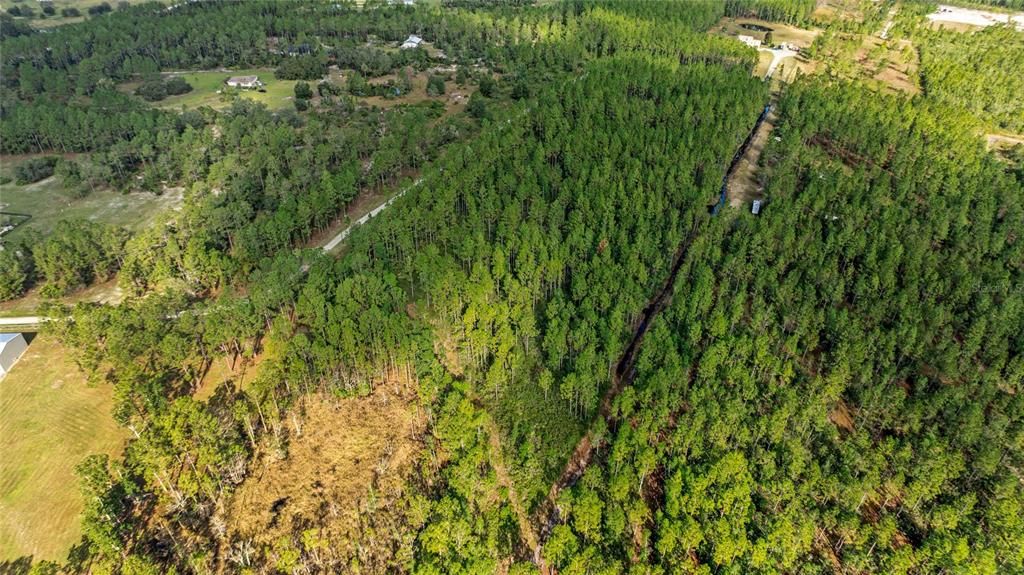 For Sale: $165,000 (5.89 acres)