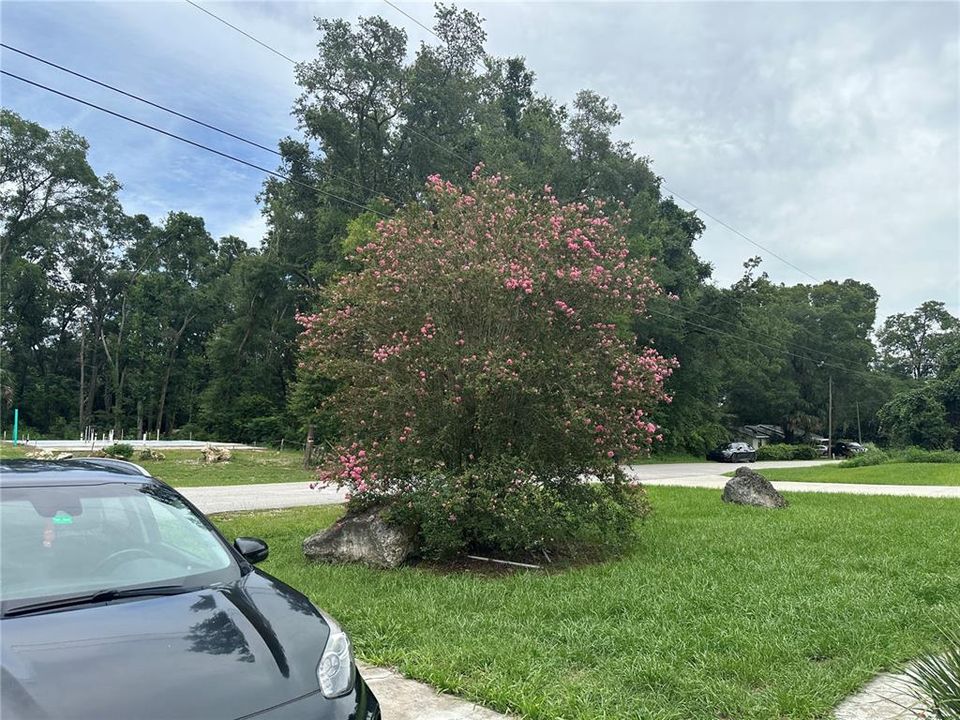 En Renta: $1,600 (3 camas, 2 baños, 960 Pies cuadrados)