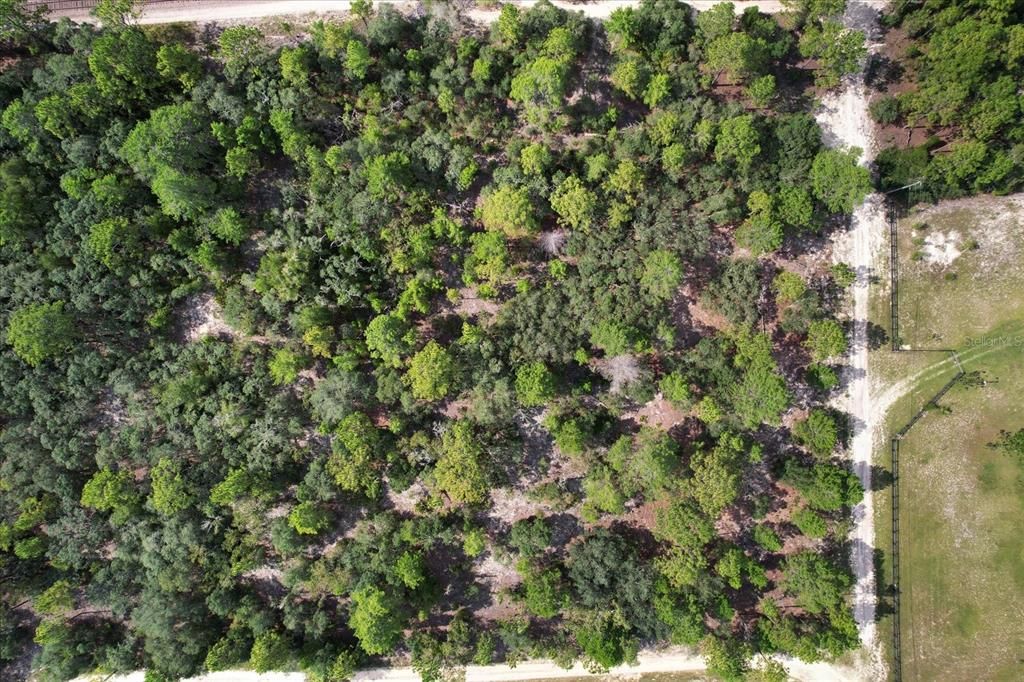 Под контрактом: $32,000 (1.13 acres)