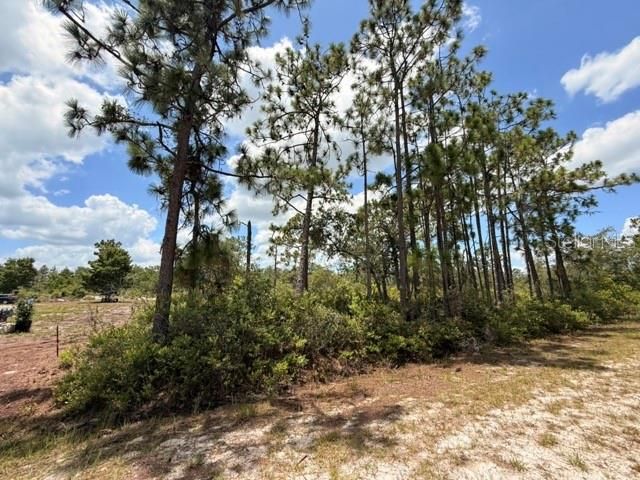 For Sale: $12,500 (0.50 acres)