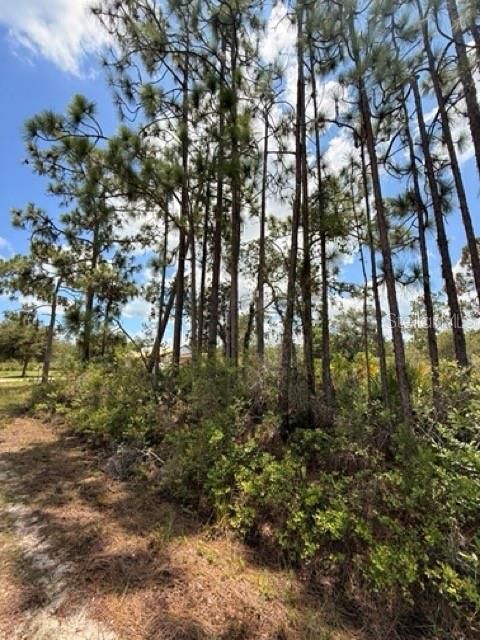 For Sale: $12,500 (0.50 acres)