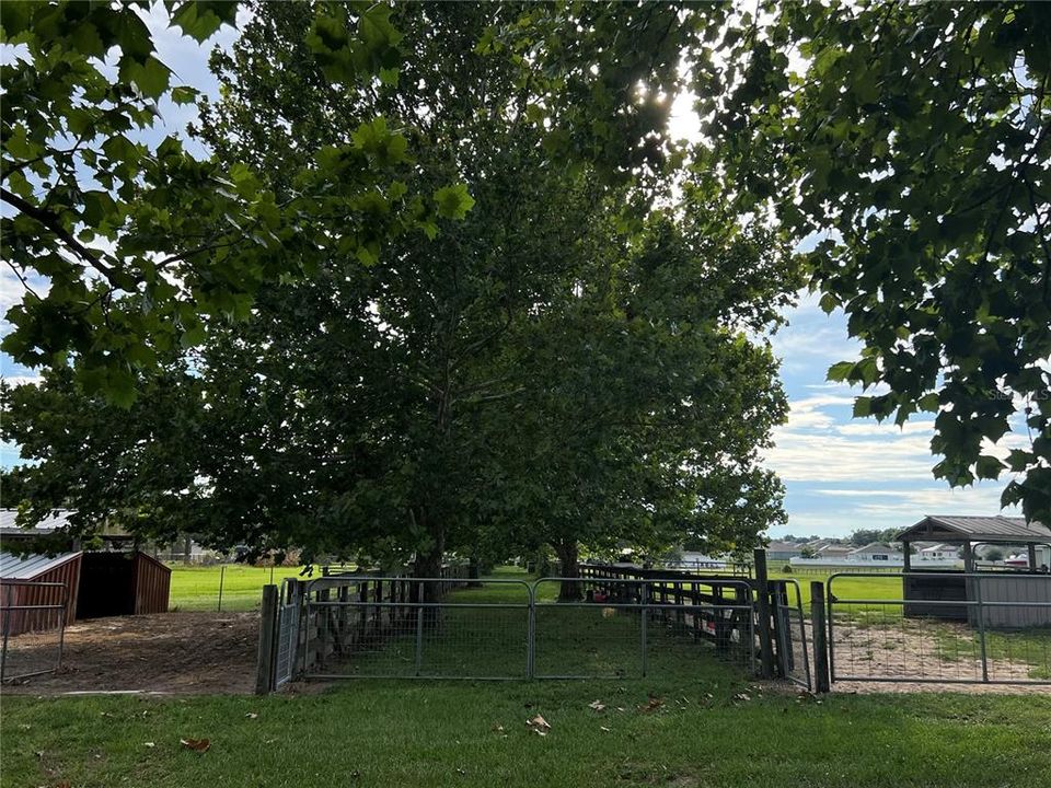 For Sale: $525,000 (5.00 acres)