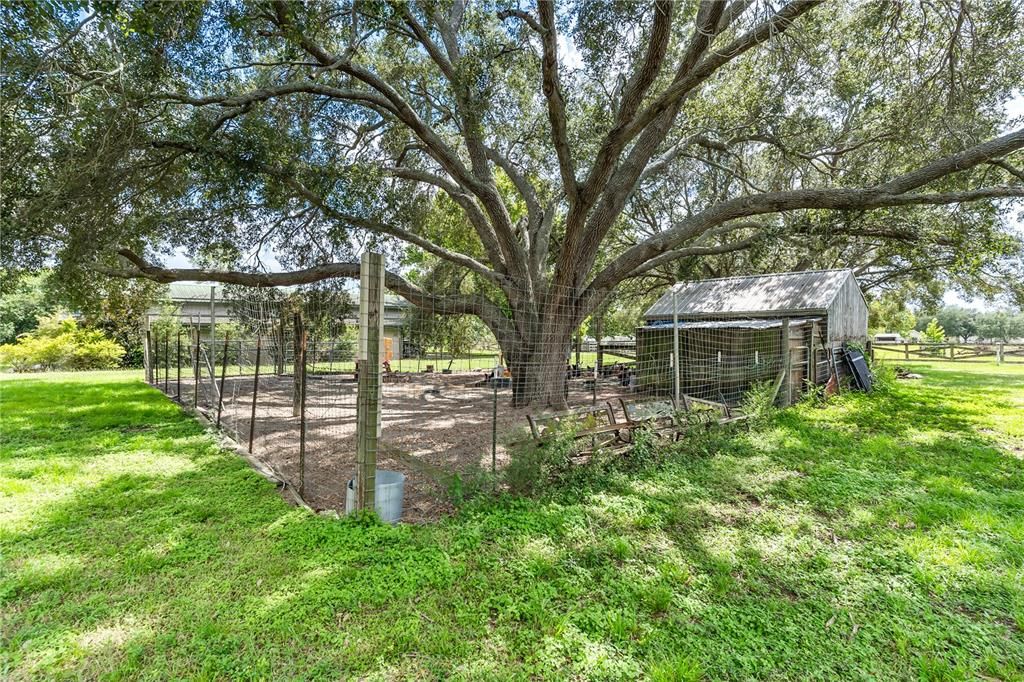 For Sale: $525,000 (5.00 acres)