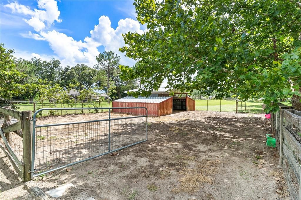 For Sale: $525,000 (5.00 acres)