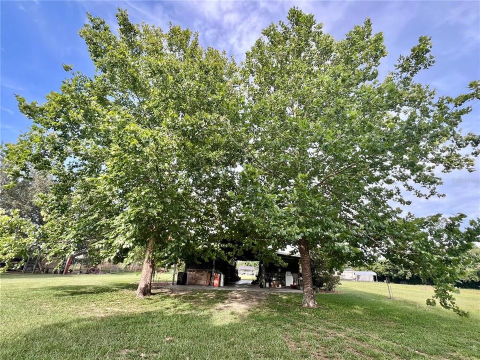 For Sale: $525,000 (5.00 acres)