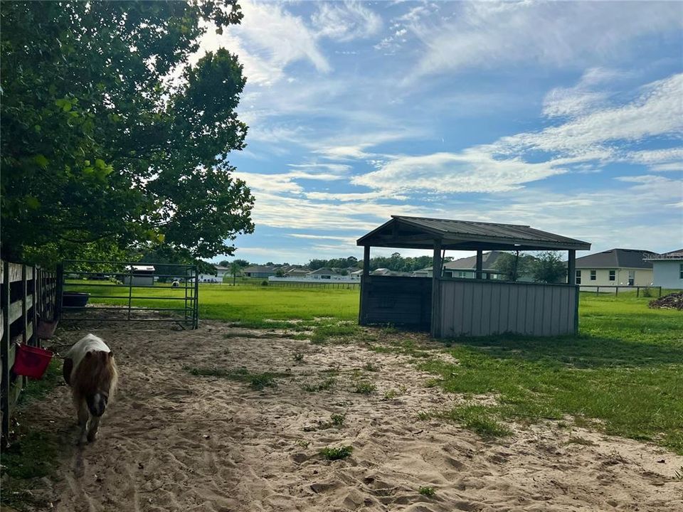 For Sale: $525,000 (5.00 acres)