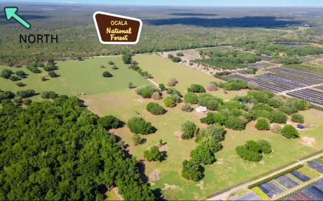 27 Acre Farm across from Ocala Natl Forest