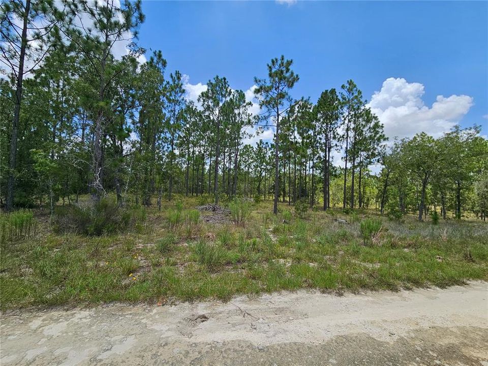 待售: $12,500 (0.23 acres)