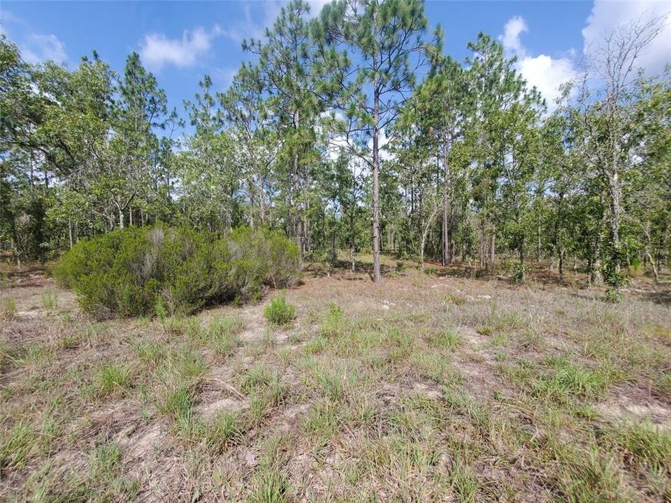 待售: $12,500 (0.23 acres)