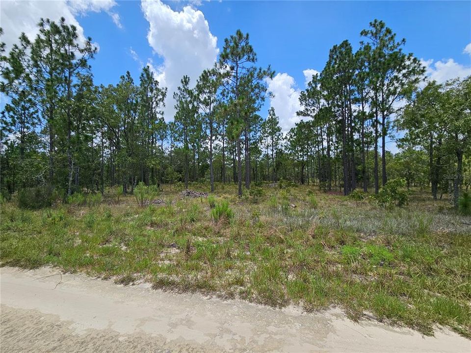 待售: $12,500 (0.23 acres)