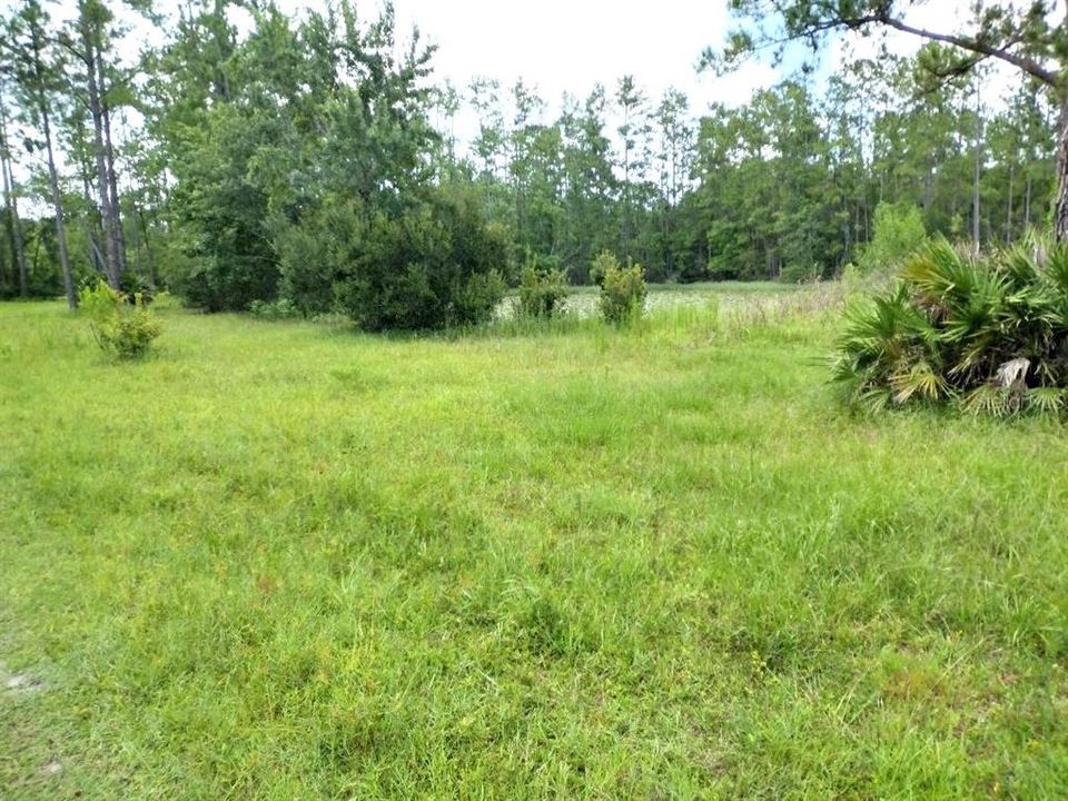 For Sale: $459,900 (3 beds, 2 baths, 1566 Square Feet)