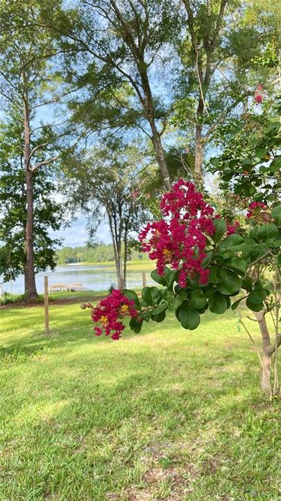 For Sale: $389,000 (2 beds, 1 baths, 1072 Square Feet)