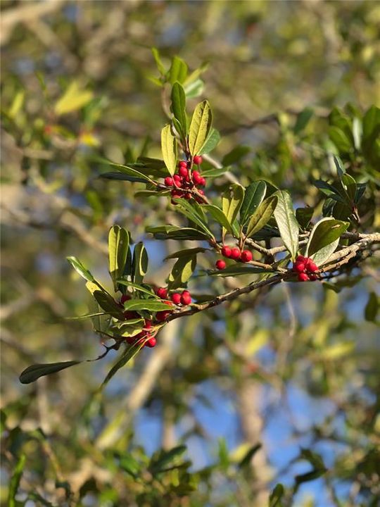 For Sale: $389,000 (2 beds, 1 baths, 1072 Square Feet)