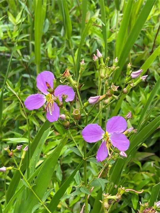 For Sale: $389,000 (2 beds, 1 baths, 1072 Square Feet)