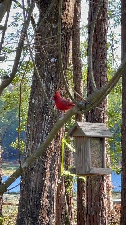 For Sale: $389,000 (2 beds, 1 baths, 1072 Square Feet)