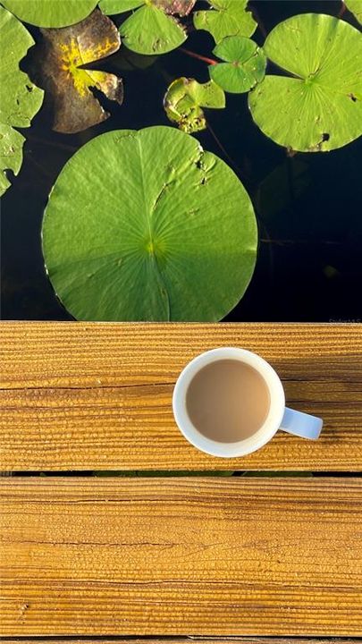 For Sale: $389,000 (2 beds, 1 baths, 1072 Square Feet)