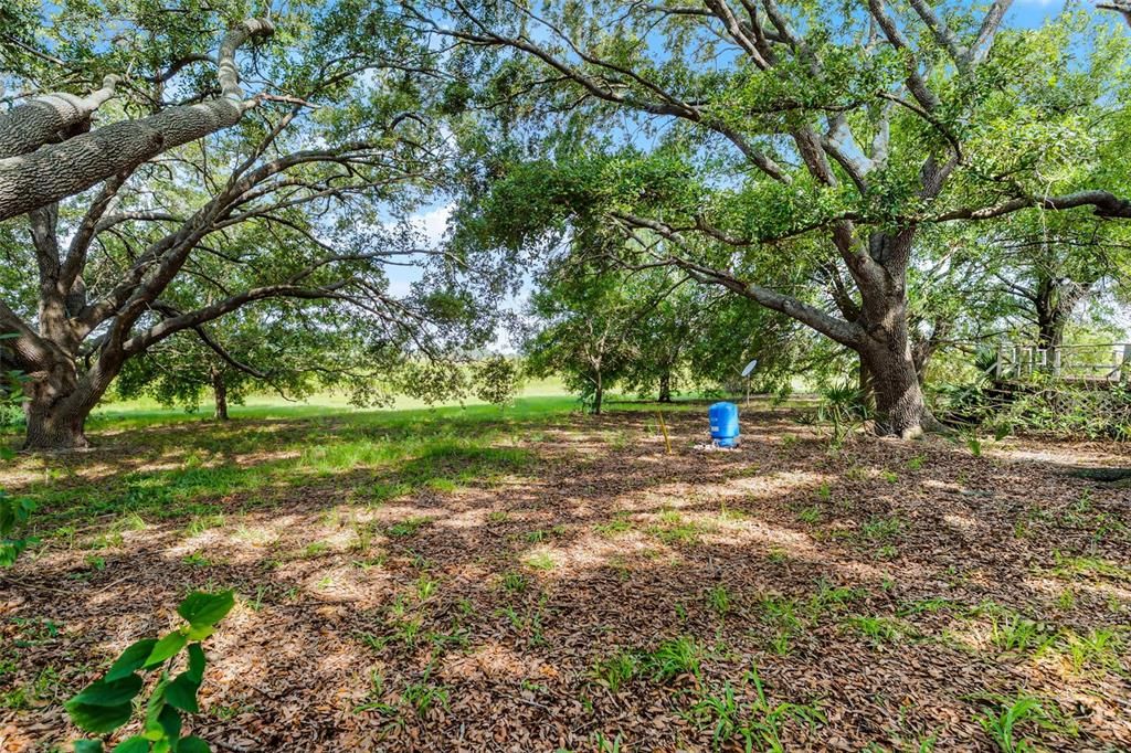 En Venta: $390,000 (32.31 acres)