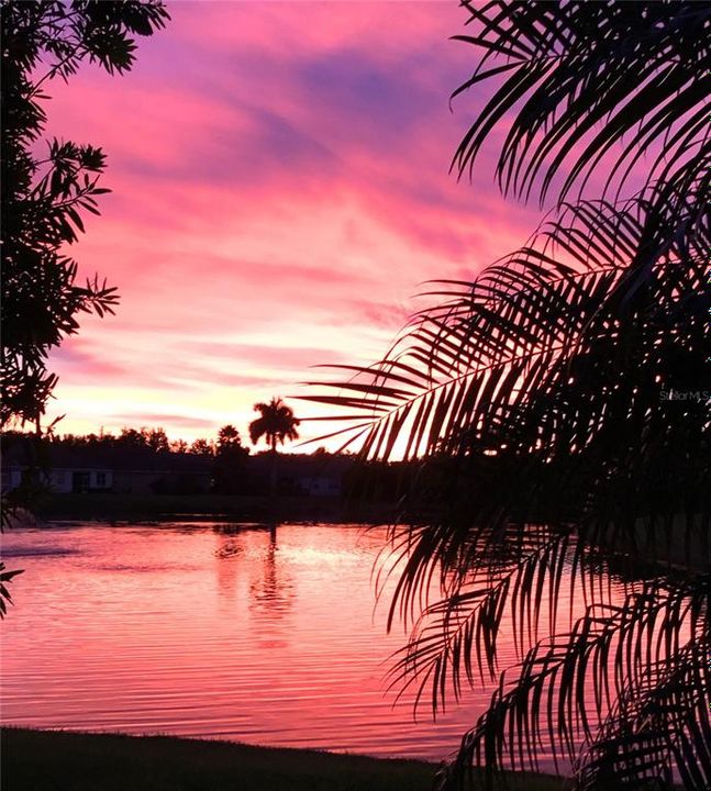 Activo con contrato: $575,000 (3 camas, 3 baños, 2303 Pies cuadrados)