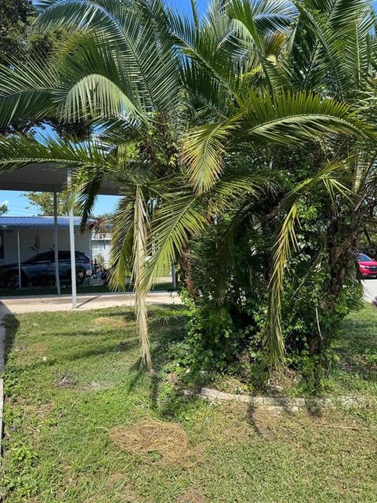 待售: $125,000 (2 贝兹, 2 浴室, 1000 平方英尺)