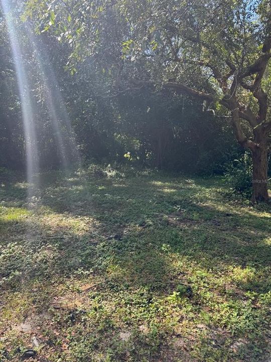 待售: $125,000 (2 贝兹, 2 浴室, 1000 平方英尺)