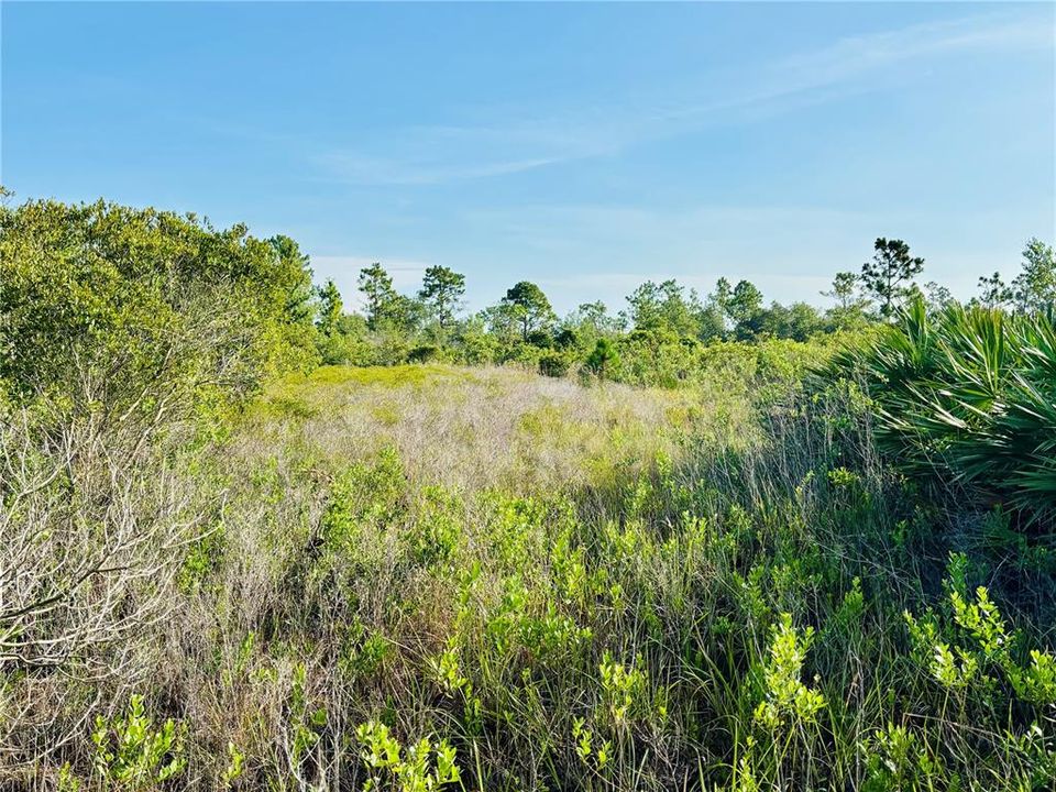 En Venta: $38,950 (1.25 acres)