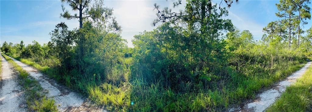 En Venta: $38,950 (1.25 acres)