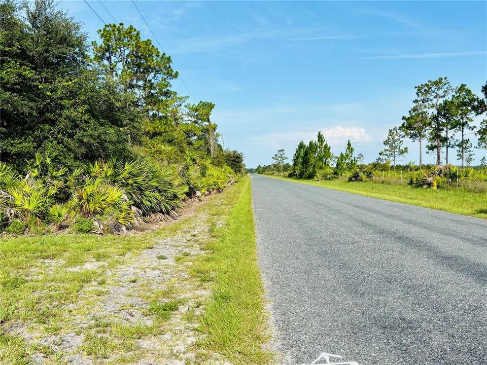 En Venta: $38,950 (1.25 acres)