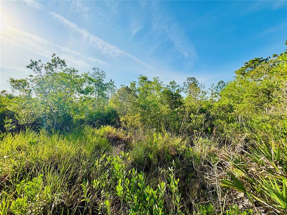 En Venta: $38,950 (1.25 acres)