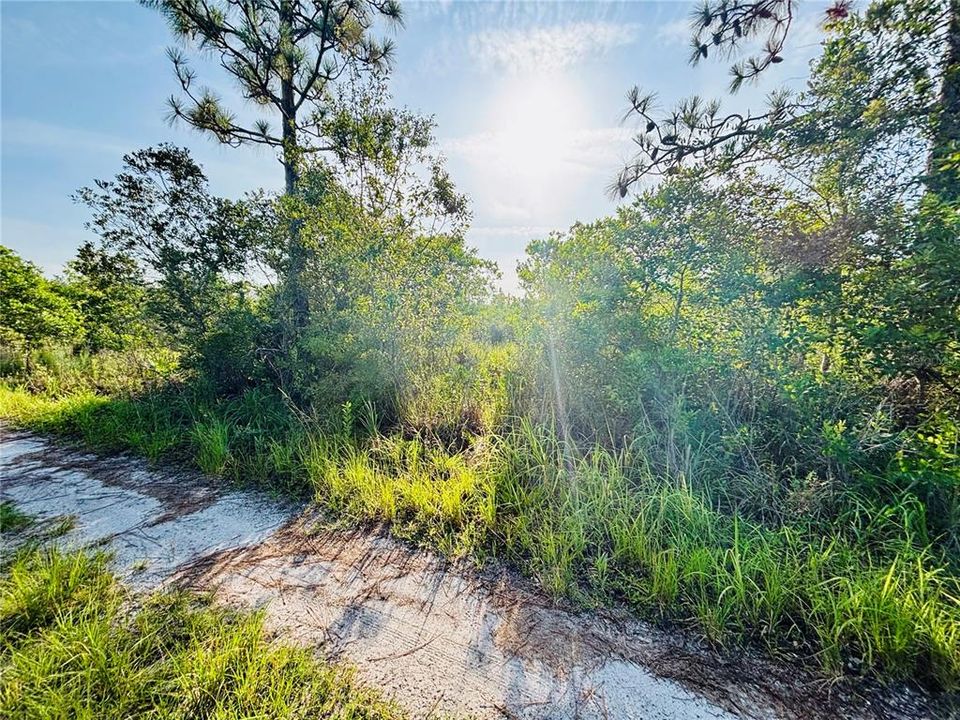 En Venta: $38,950 (1.25 acres)