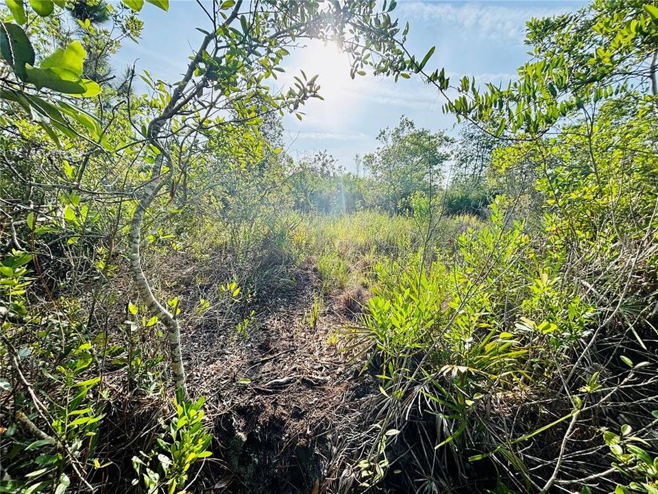 En Venta: $38,950 (1.25 acres)