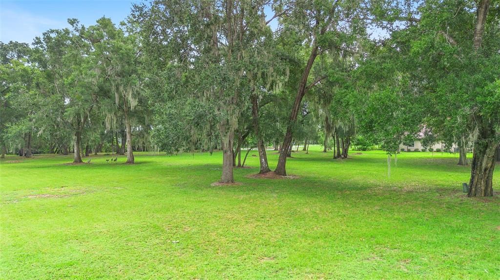 En Venta: $79,900 (0.19 acres)