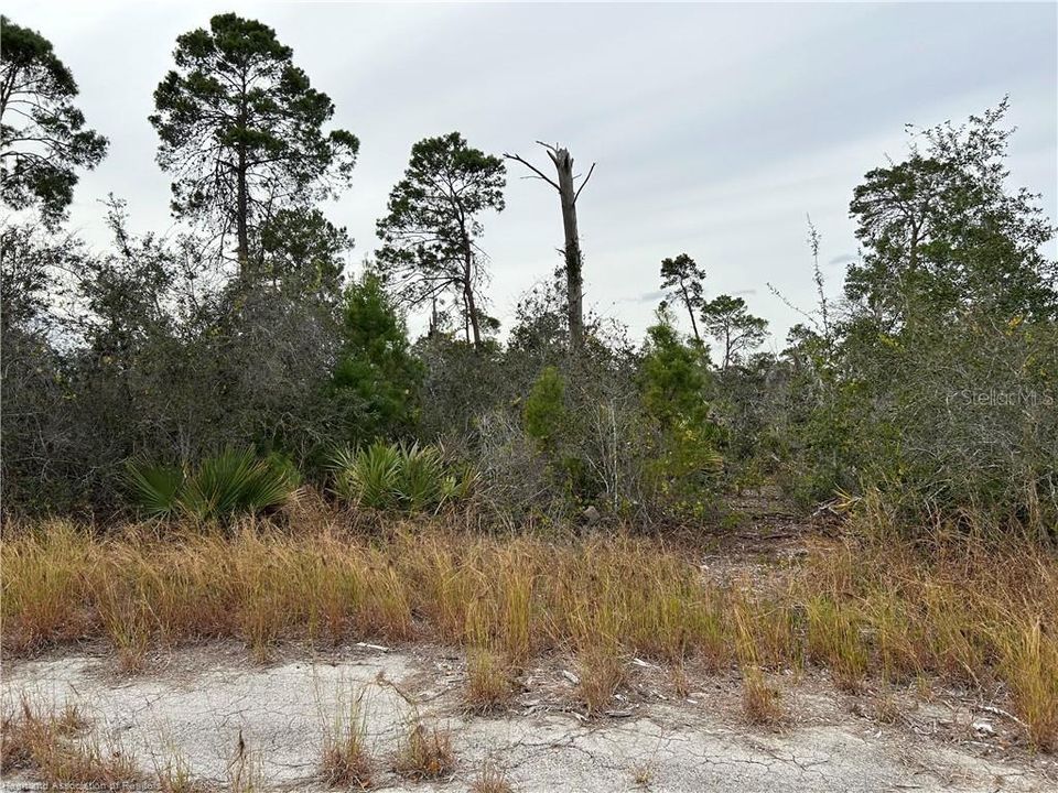 待售: $29,900 (0.55 acres)