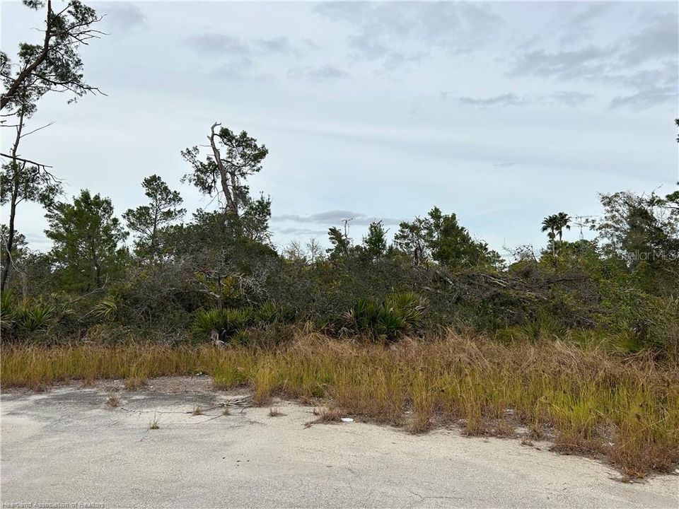 待售: $29,900 (0.55 acres)