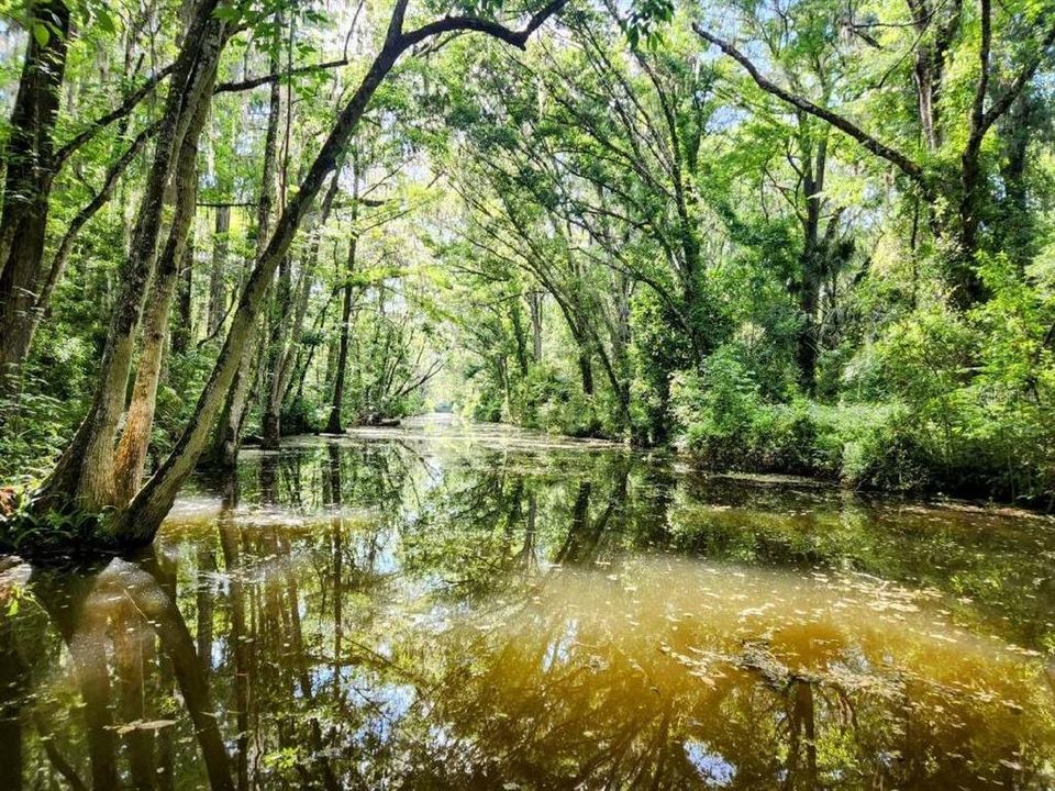 待售: $120,000 (0.41 acres)