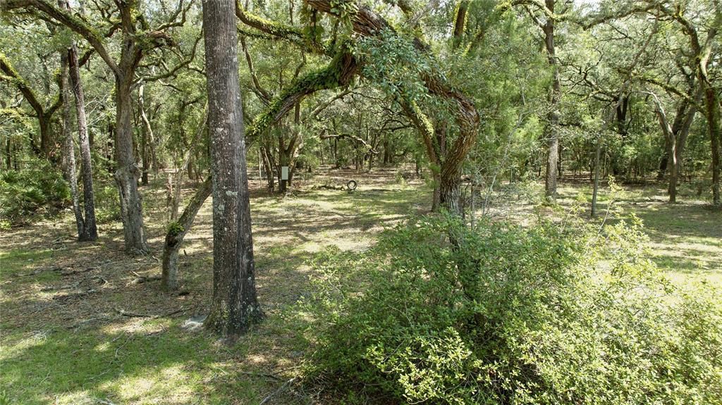 待售: $149,999 (2 贝兹, 2 浴室, 976 平方英尺)