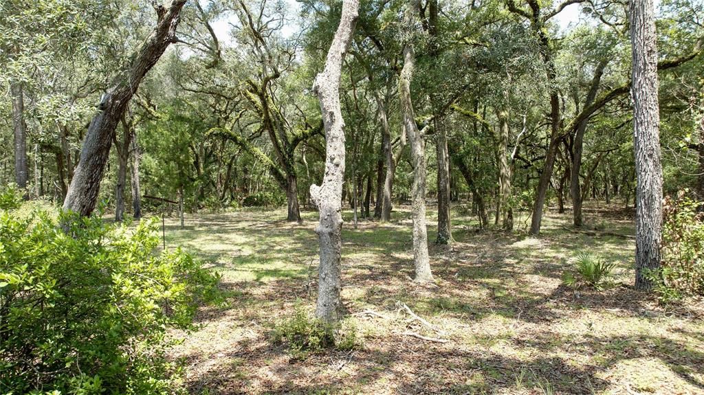 待售: $149,999 (2 贝兹, 2 浴室, 976 平方英尺)