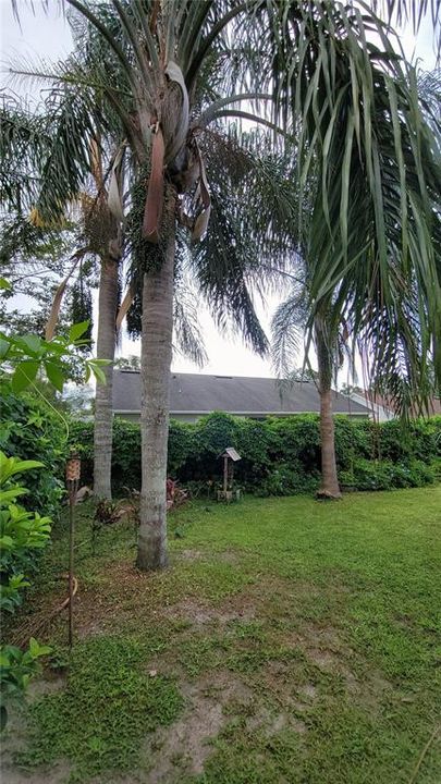 Active With Contract: $264,900 (2 beds, 2 baths, 1014 Square Feet)