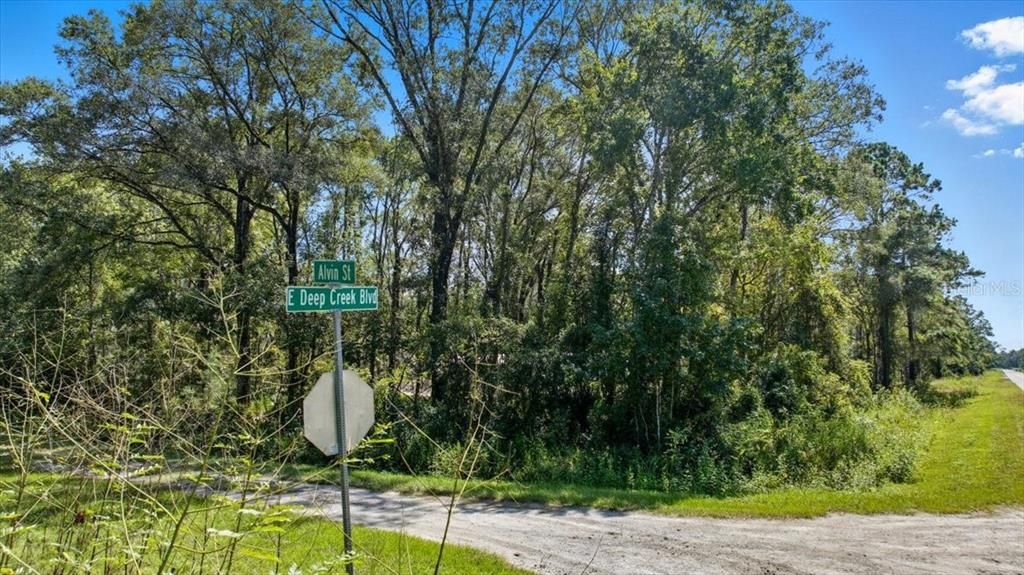 待售: $135,000 (2.50 acres)