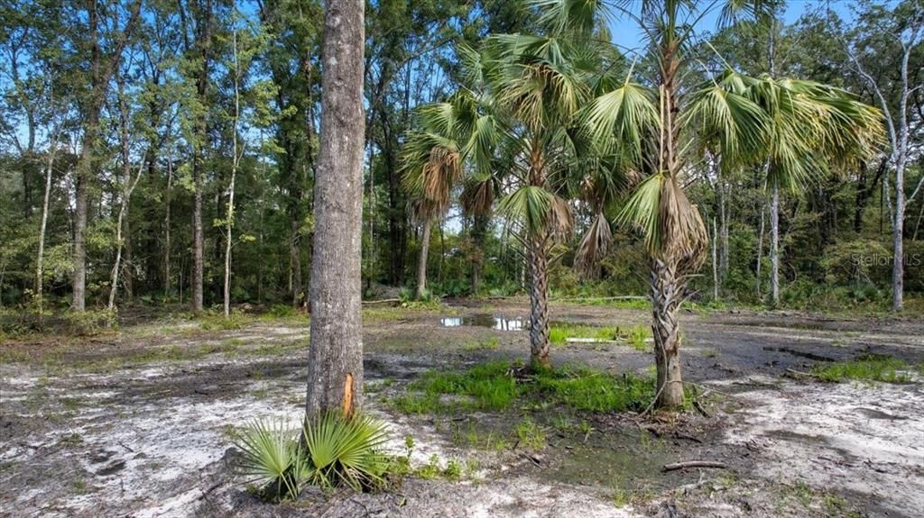 待售: $135,000 (2.50 acres)