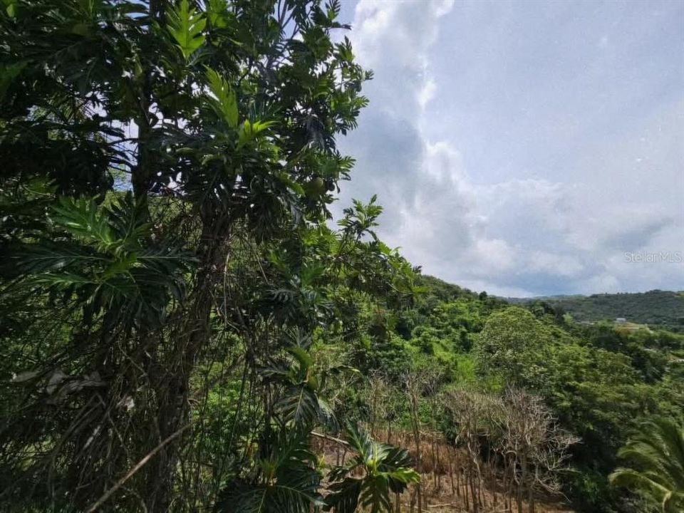 En Venta: $235,000 (7 camas, 4 baños, 2900 Pies cuadrados)