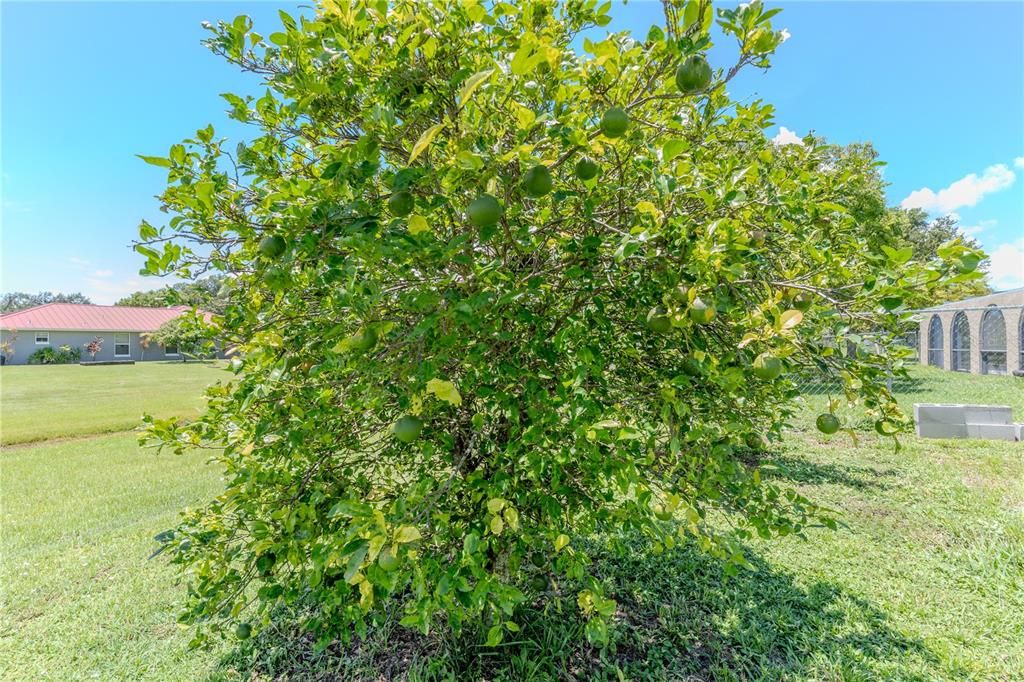 Active With Contract: $289,990 (3 beds, 2 baths, 1876 Square Feet)