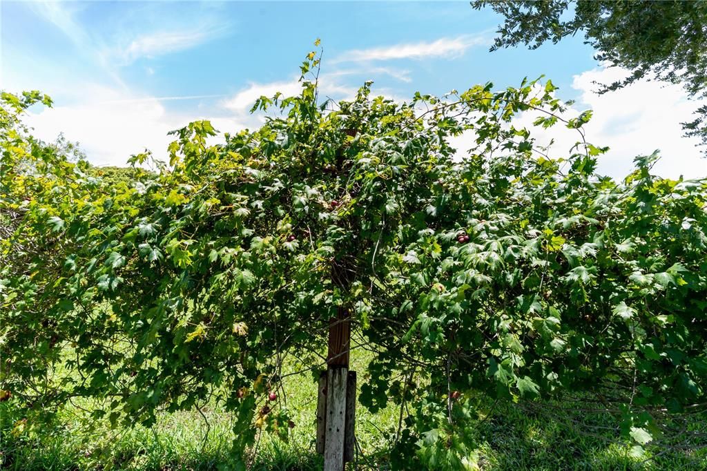 Active With Contract: $289,990 (3 beds, 2 baths, 1876 Square Feet)