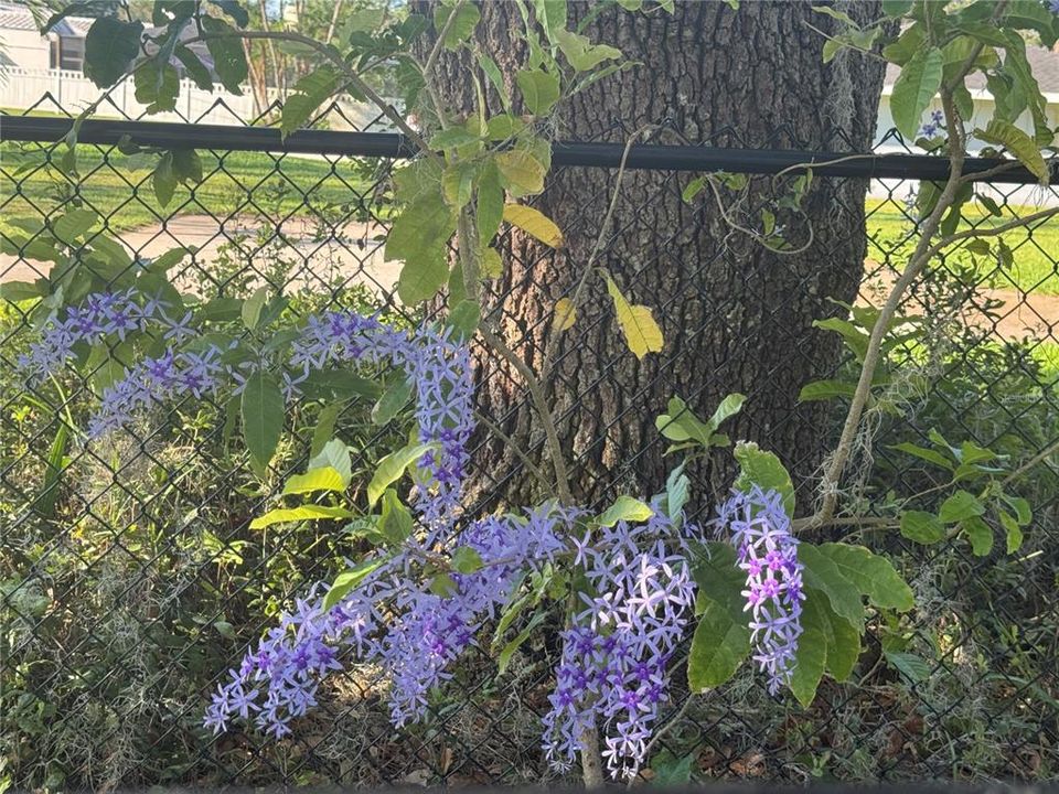 En Venta: $949,000 (3 camas, 3 baños, 2198 Pies cuadrados)