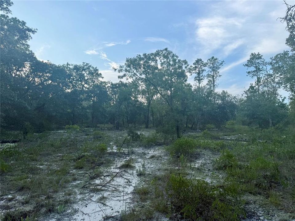 Под контрактом: $21,000 (0.99 acres)