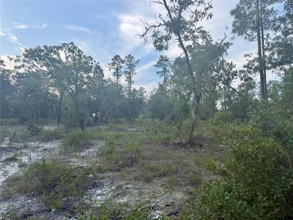 Под контрактом: $21,000 (0.99 acres)